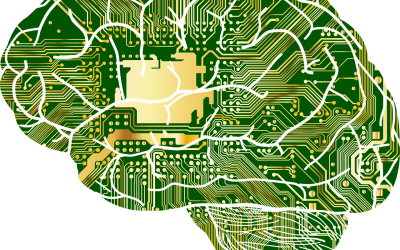 Hjernen foretrækker at arbejde