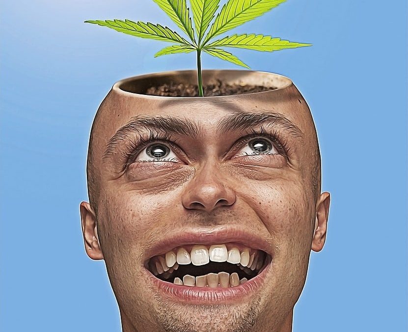 Nu er det bevist: Hash er farligt for hjernen