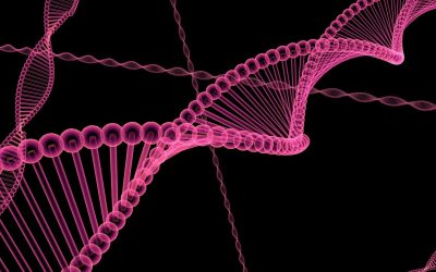 Forskere identificerer intelligens-gen