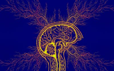 Behandling mod ADHD forhindrer børn i at tage stimulanser senere